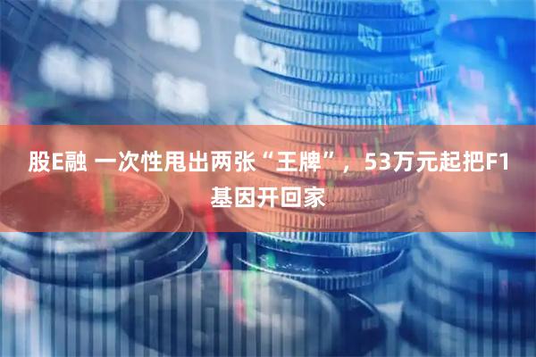 股E融 一次性甩出两张“王牌”，53万元起把F1基因开回家