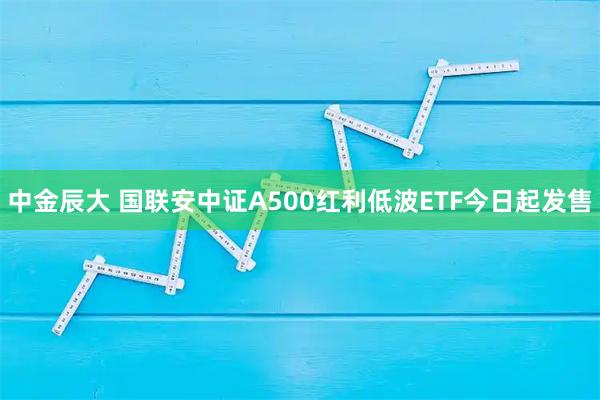 中金辰大 国联安中证A500红利低波ETF今日起发售
