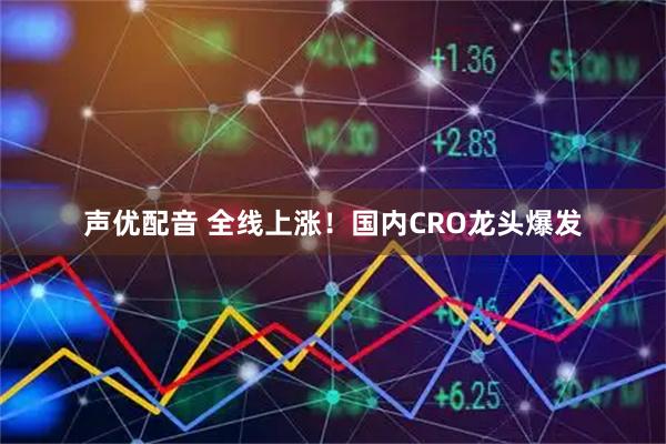 声优配音 全线上涨！国内CRO龙头爆发