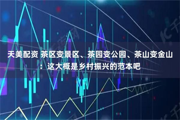 天美配资 茶区变景区、茶园变公园、茶山变金山：这大概是乡村振兴的范本吧