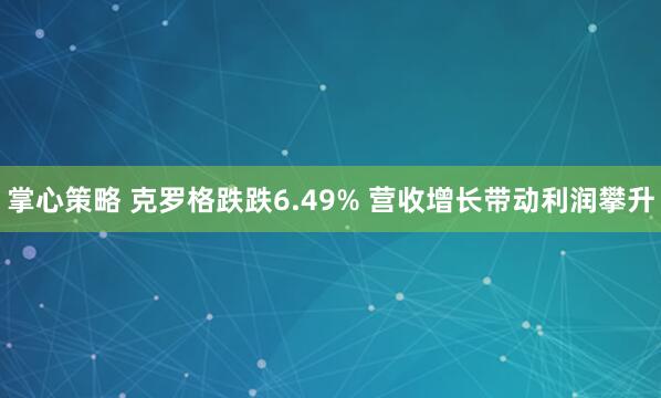 掌心策略 克罗格跌跌6.49% 营收增长带动利润攀升