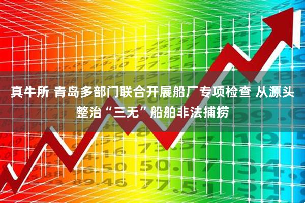 真牛所 青岛多部门联合开展船厂专项检查 从源头整治“三无”船舶非法捕捞