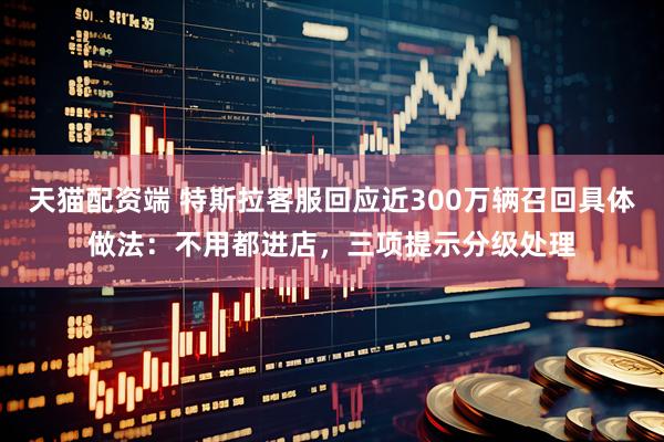 天猫配资端 特斯拉客服回应近300万辆召回具体做法：不用都进店，三项提示分级处理