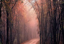 手机上买股票怎样开户:现货交易杠杆-生育津贴直接发放至个人 这些地方已实现！